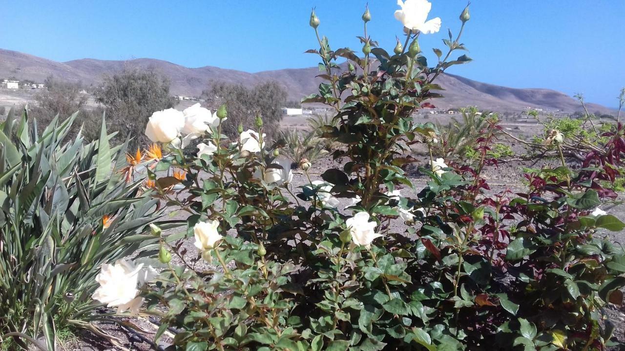 Finca Los Rosales Lajita Εξωτερικό φωτογραφία