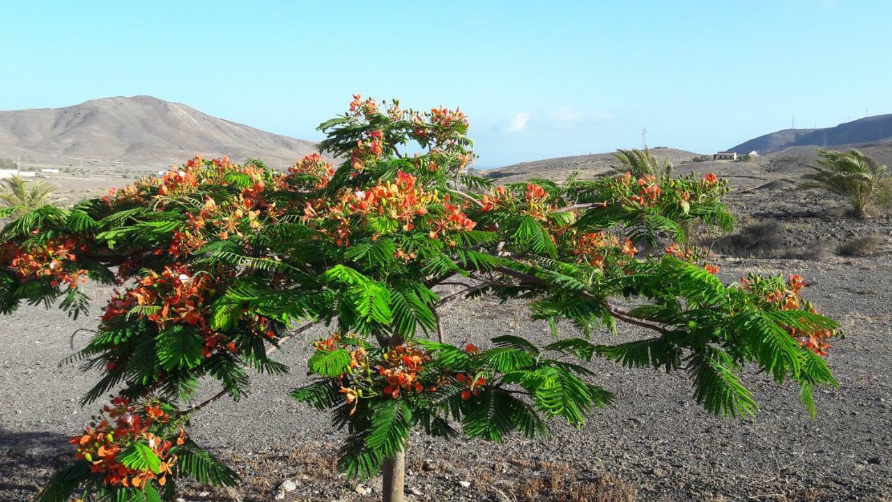 Finca Los Rosales Lajita Εξωτερικό φωτογραφία